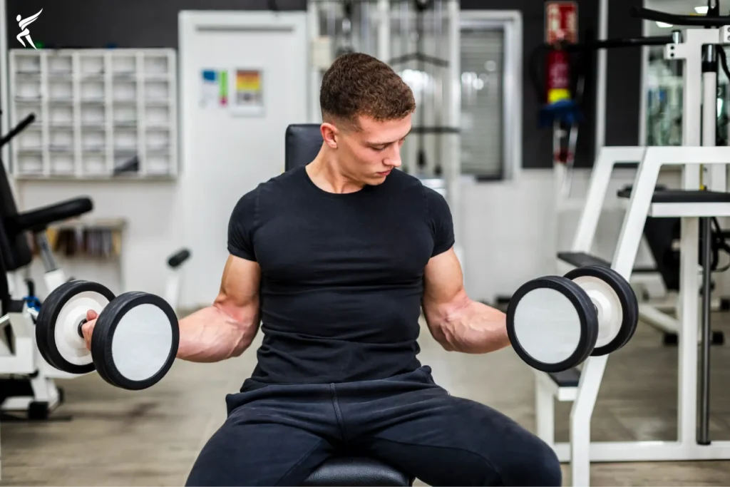 Best Shoulder Exercises for Mass 