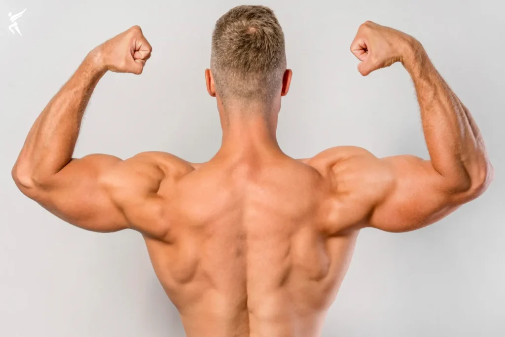 Best Tricep Workouts with Dumbbells for Bigger Arms