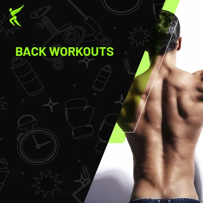 Back Workouts That Build Size and Strength