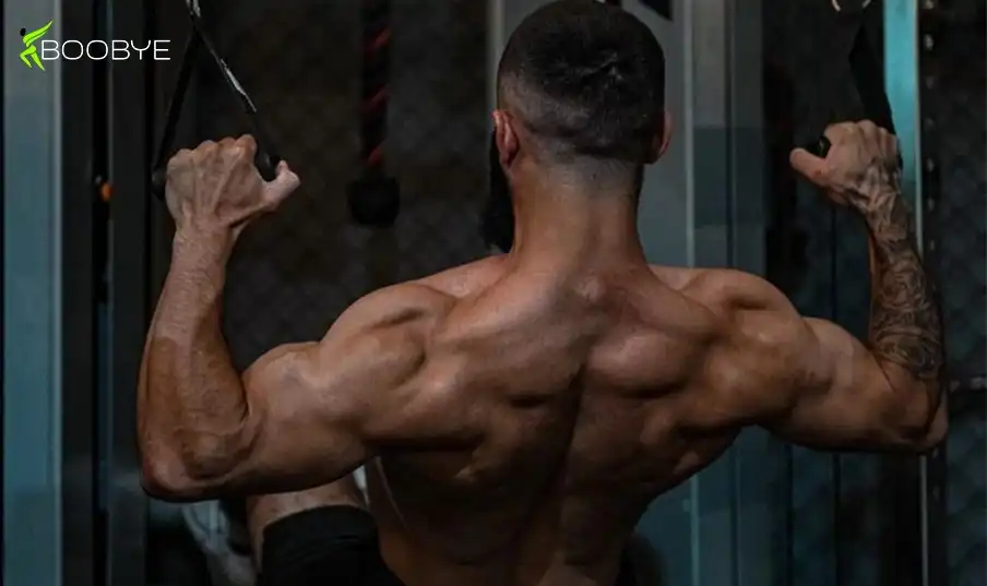 Best Back Workouts