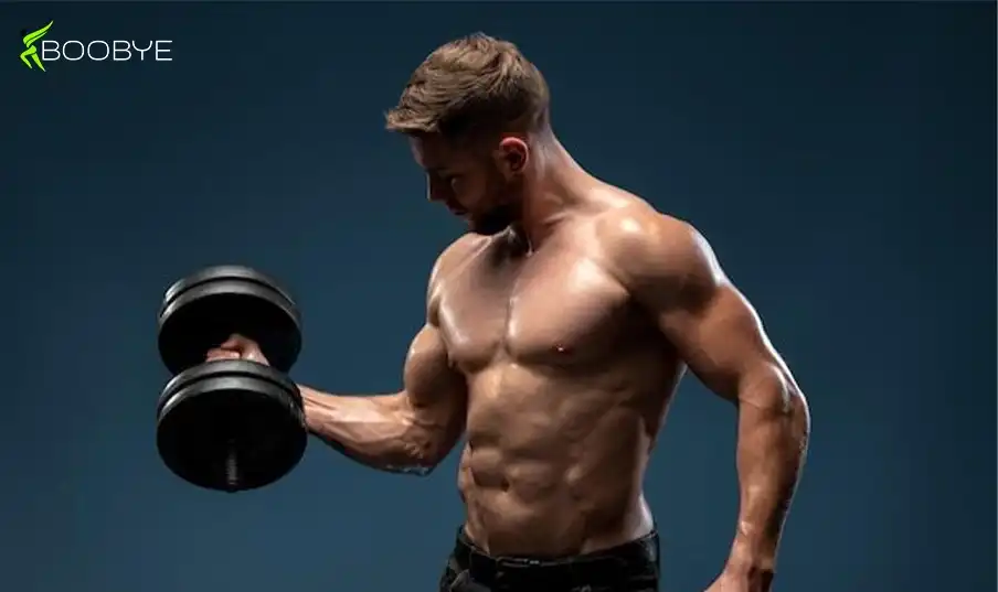 Full Body Workouts