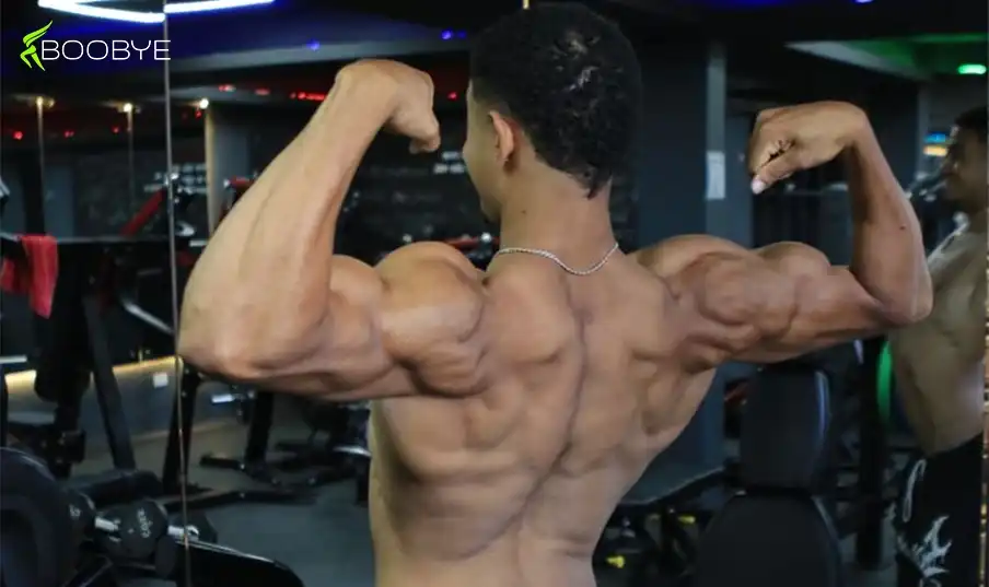 Best Back Workouts